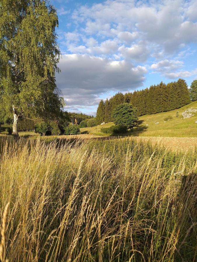 Landcafe Sima & Zimmervermietung Forheim Bagian luar foto